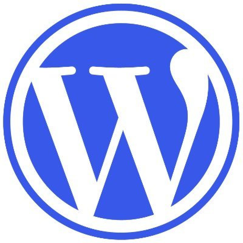 Wordpress development online consulting services to solve the problem of building a website theme plugin code modification configuration